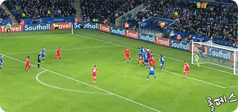 물은 답을 알고 있다.gif | 인스티즈