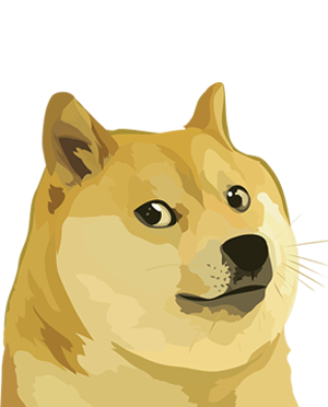 what is better dogecoin or bitcoin