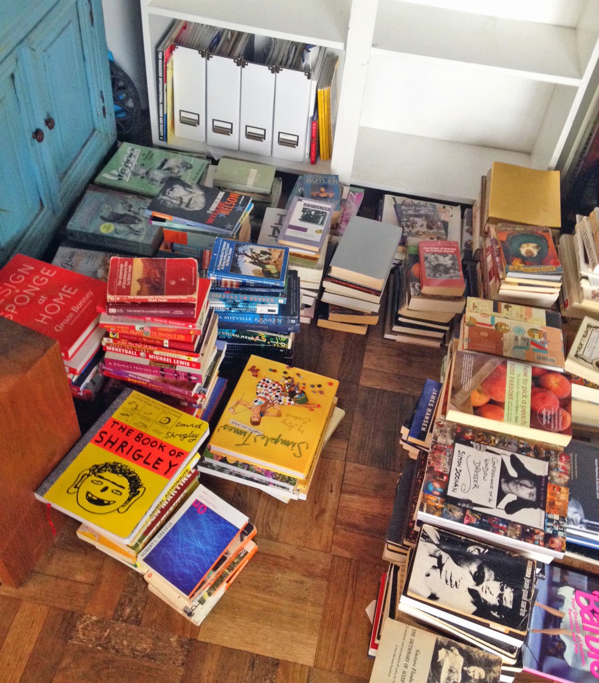 kinda pretty great organizing bookshelves by color