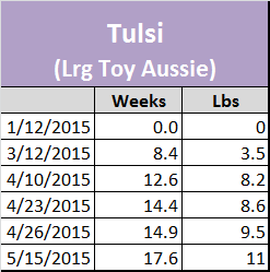 Mini Australian Shepherd Puppy Weight Chart