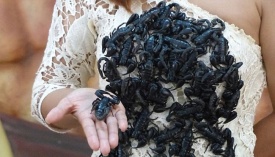 Wanita Cantik Ini Punya Pekerjaan Ekstrem dan Miliki Julukan yang Bikin Ngeri Wanita Cantik Ini Punya Pekerjaan Ekstrem dan Miliki Julukan yang Bikin Ngeri