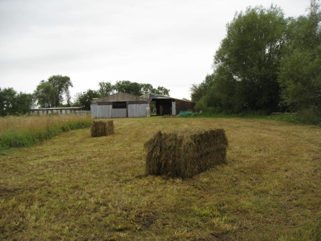 With a little help from the farmer we got the grass cut