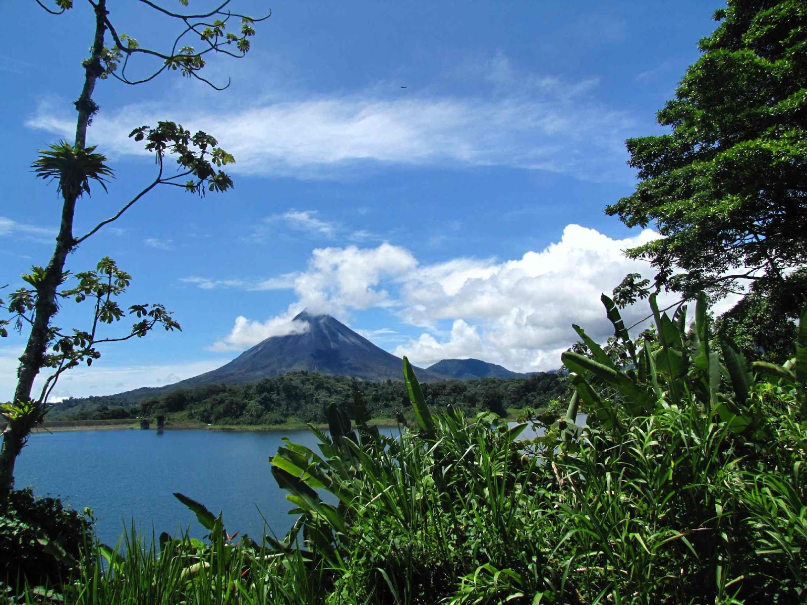 Properties for Sale in Costa Rica Large number of Lake Arenal and Volcano view properties and