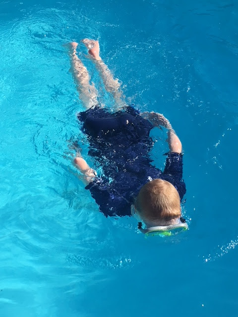 snorkelling child in swimming pool