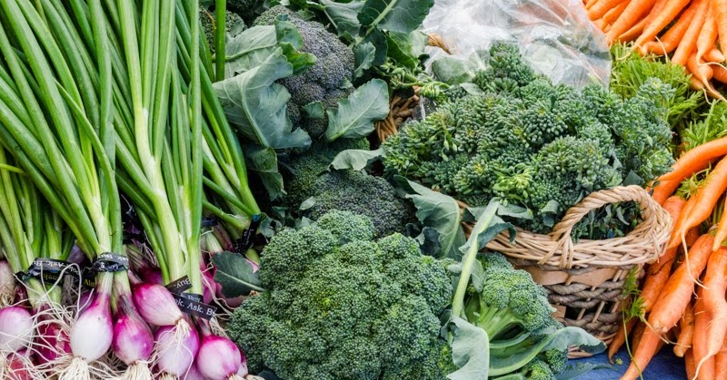 Experience - Homer Farmer's Market | Guide for Alaska's Disappearing