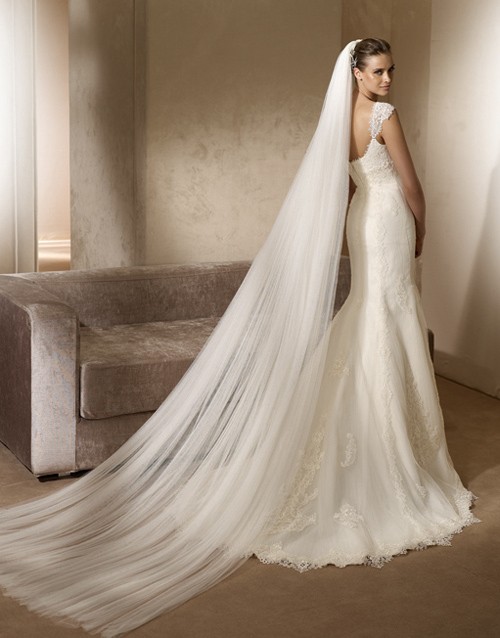 Ultra long veil and stunning Pronovias dress