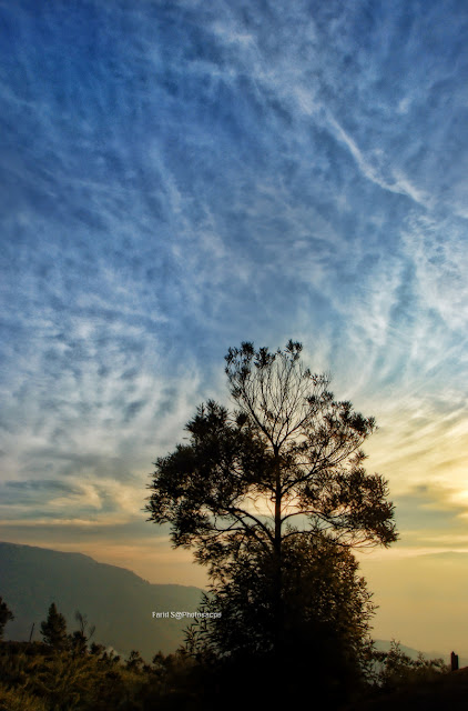 Dieng, Sikunir, Desa Sembungan, wonosobo, Bukit Sikunir, sunrise Dieng, Sikunir, Desa Sembungan, wonosobo, Bukit Sikunir, sunrise