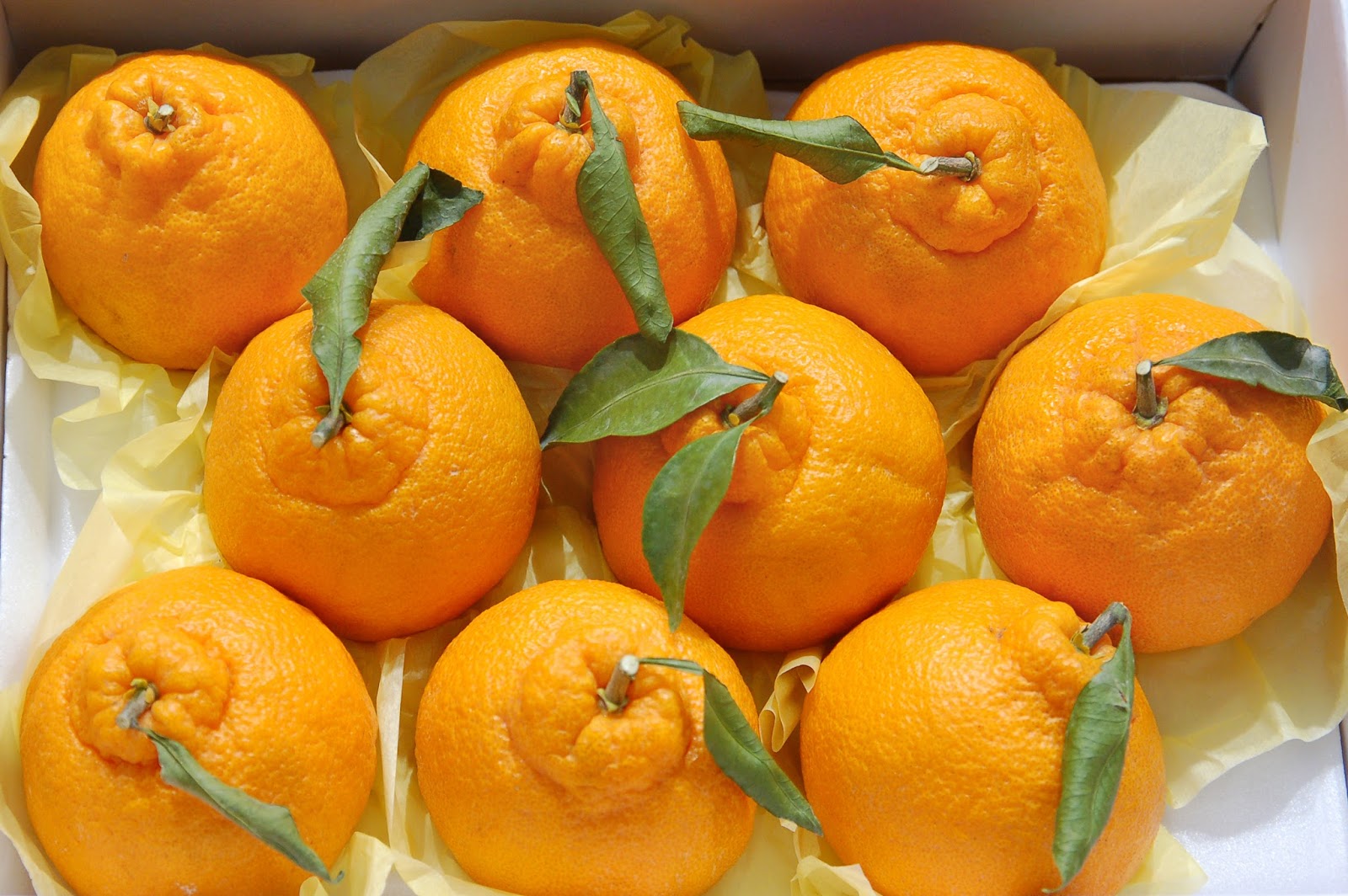 Living in Korea 101 5 MustTry Korean Winter Fruits Festival Korea