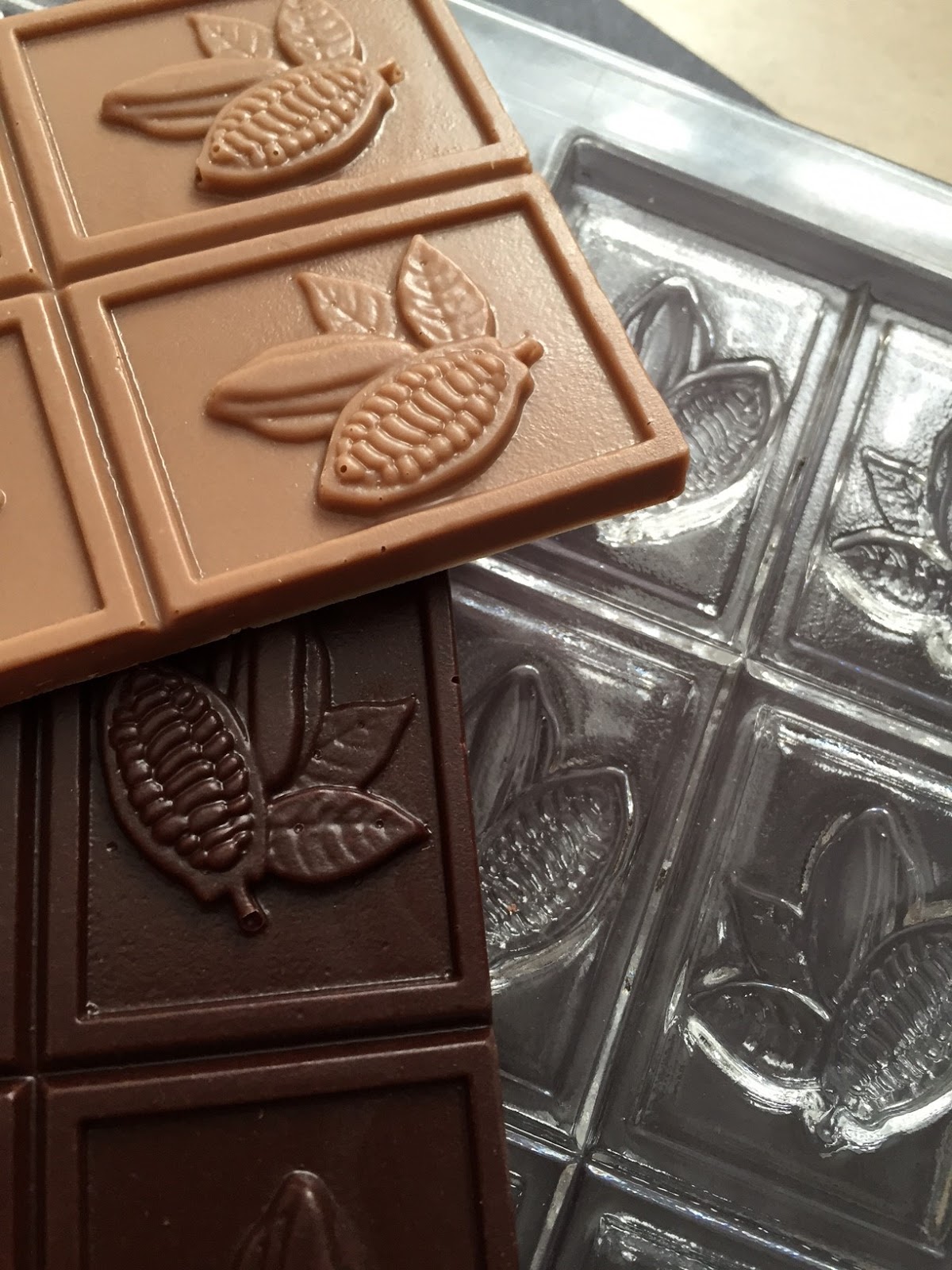 Chocolate World Polycarbonate Chocolate Mold, Cocoa Bean & Leaves Bar, 6  Cavities Polycarbonate Chocolate Molds