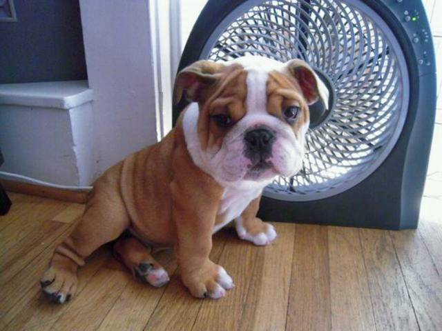 Picdump-Ritemail-044.jpg