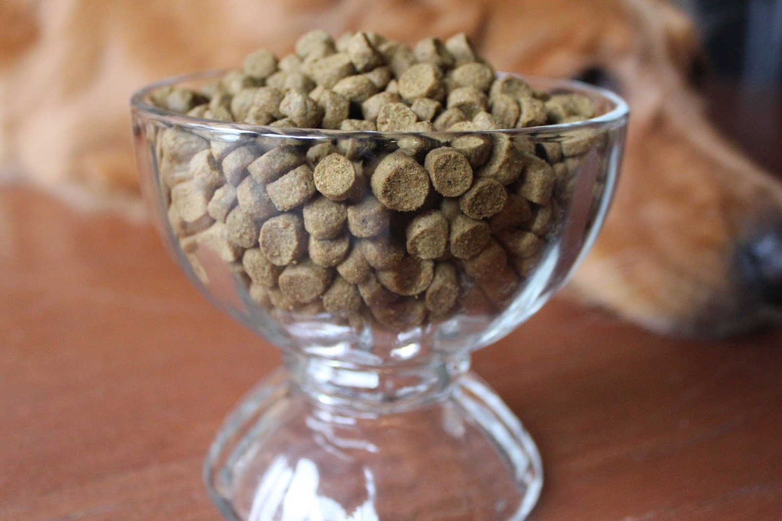 Only Natural Pet's PowerBoost freeze dried superfood for dogs
