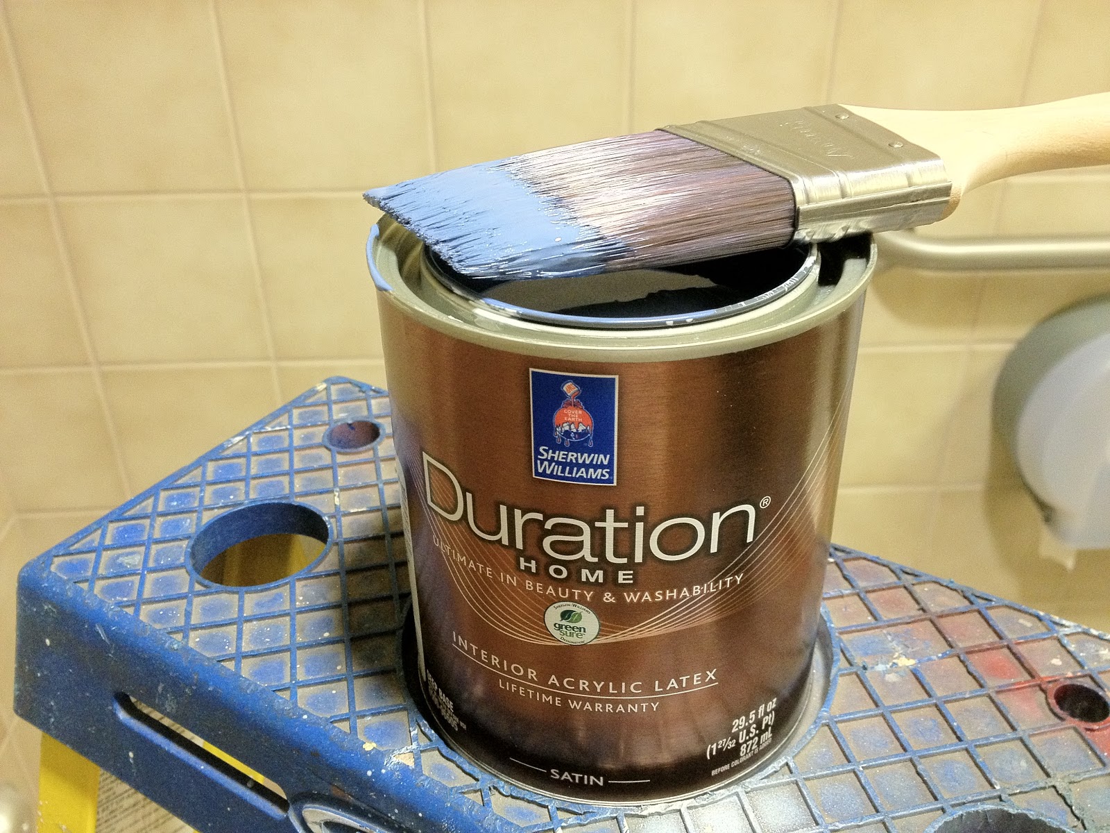 Language of Color and Texture Nascar Themed Bathroom