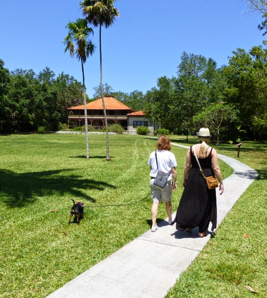 Coconut Grove Grapevine Dog Days at The Barnacle