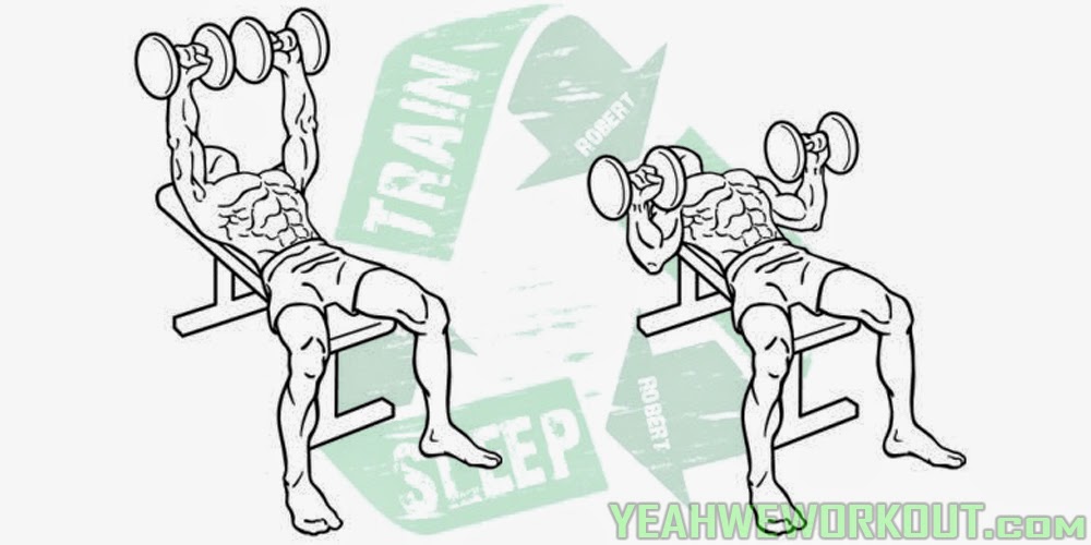 Top 5 Best Chest Exercises