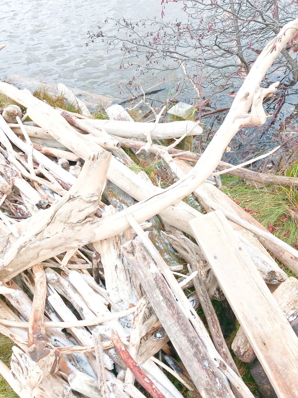 My Plans For An Epic Driftwood Sculpture Other Creative Driftwood Decor Ideas Dans Le Lakehouse