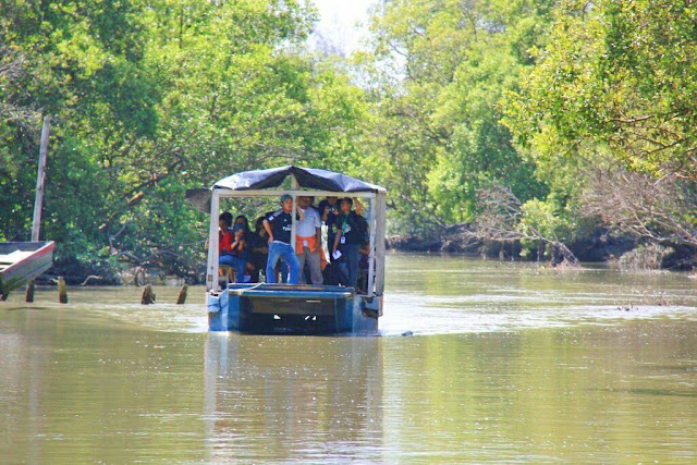 Berwisata ke Pantai Mangrove Bareng Blogger Medan 