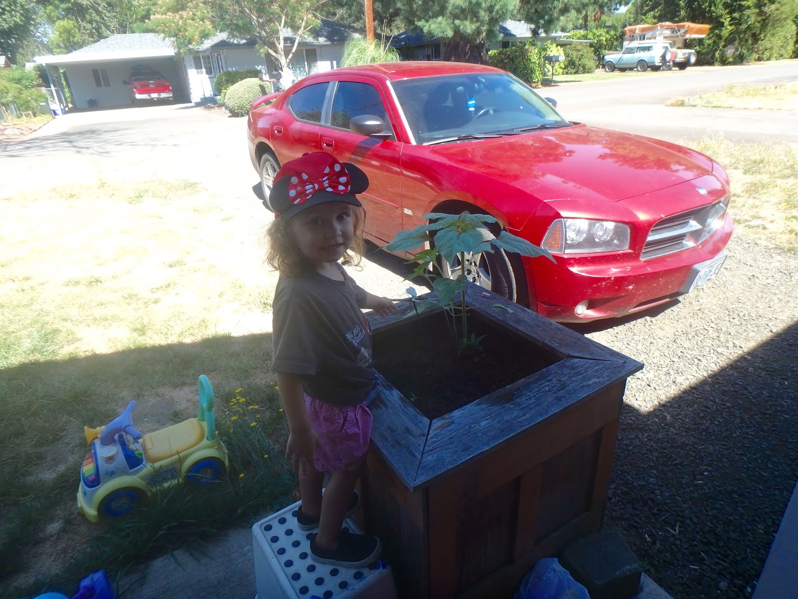 Thoughts and Information From Brittany What To Do In Roseburg Oregon