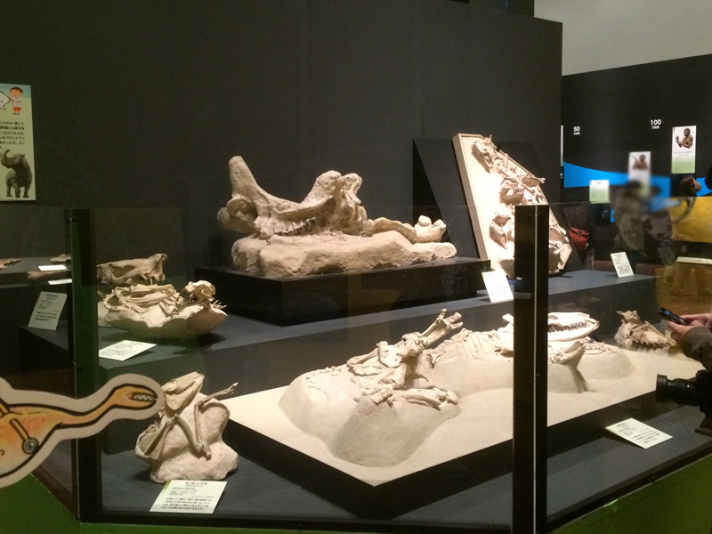 頭を打ったことが深刻でないかどうかをどうやって判断するのでしょうか?