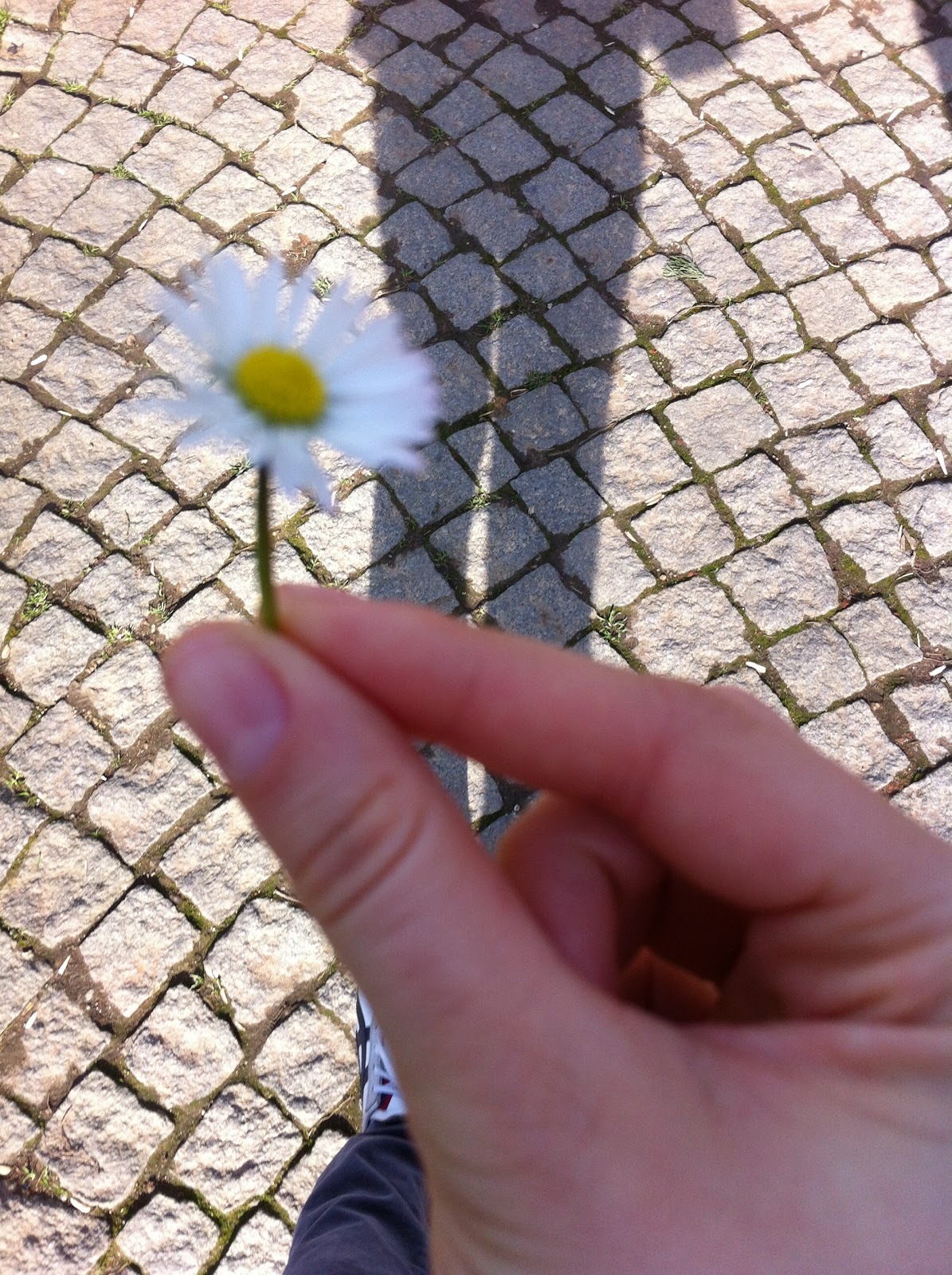 Çilek Seven Papağan Bugün Ne Yaptım 3 (Gülhane Gezisi)