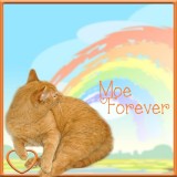 Remembering Moe