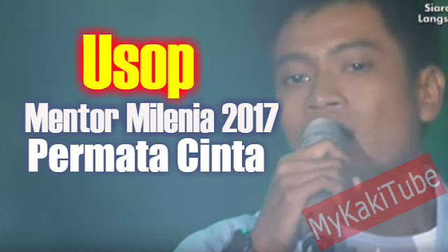 Biodata Saiful @ Usop Mentor Milenia 2017