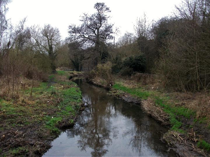 Vinnyman's Birding and Nature Blog. Sheldon Country Park.