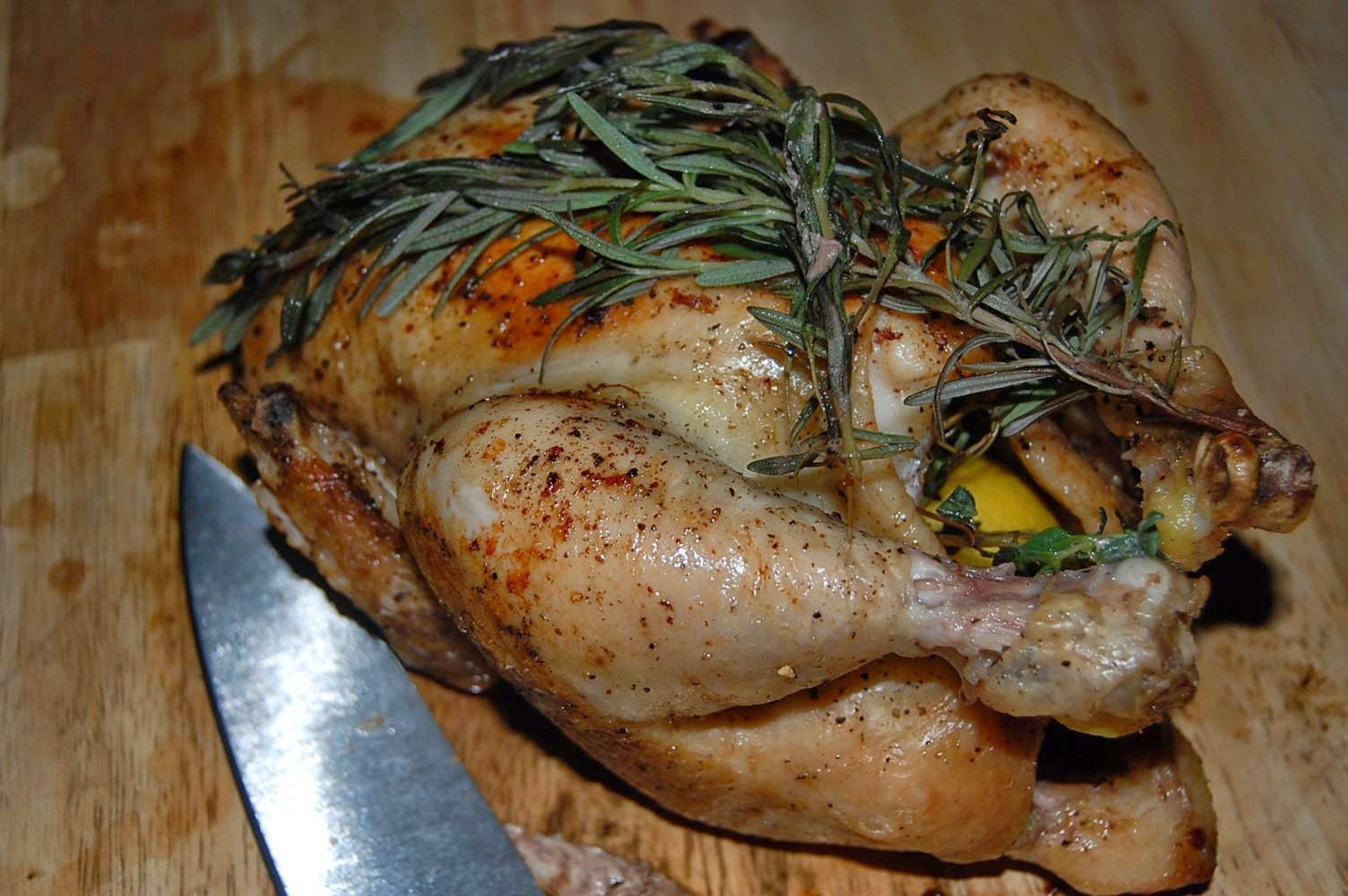 All photos gallery Chicken embryo food