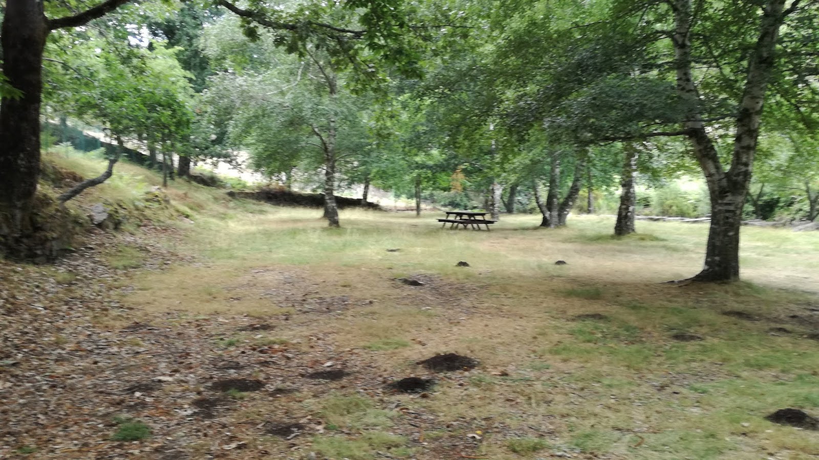 Zona de Sombra no Parque de Lazer do Covão da Ponte Zona de Sombra no Parque de Lazer do Covão da Ponte