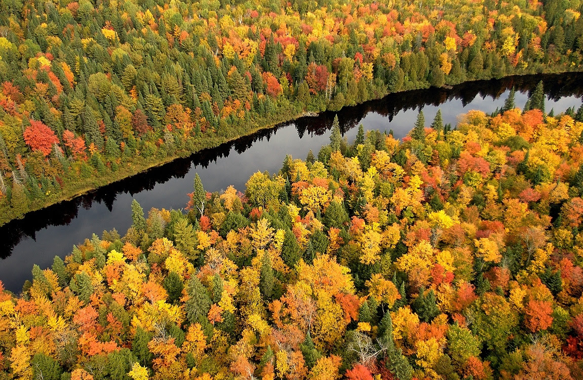 Fall Head Over Heels With Michigan Camping And Lodging