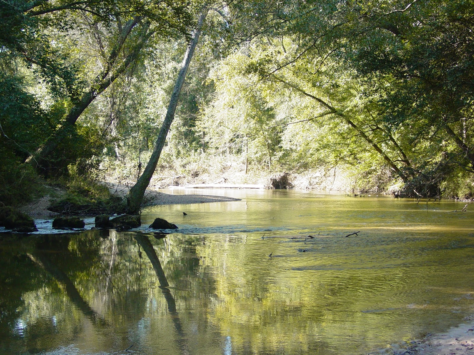 Fishing Through Life Rivers, Streams, Water Falls, Food and More