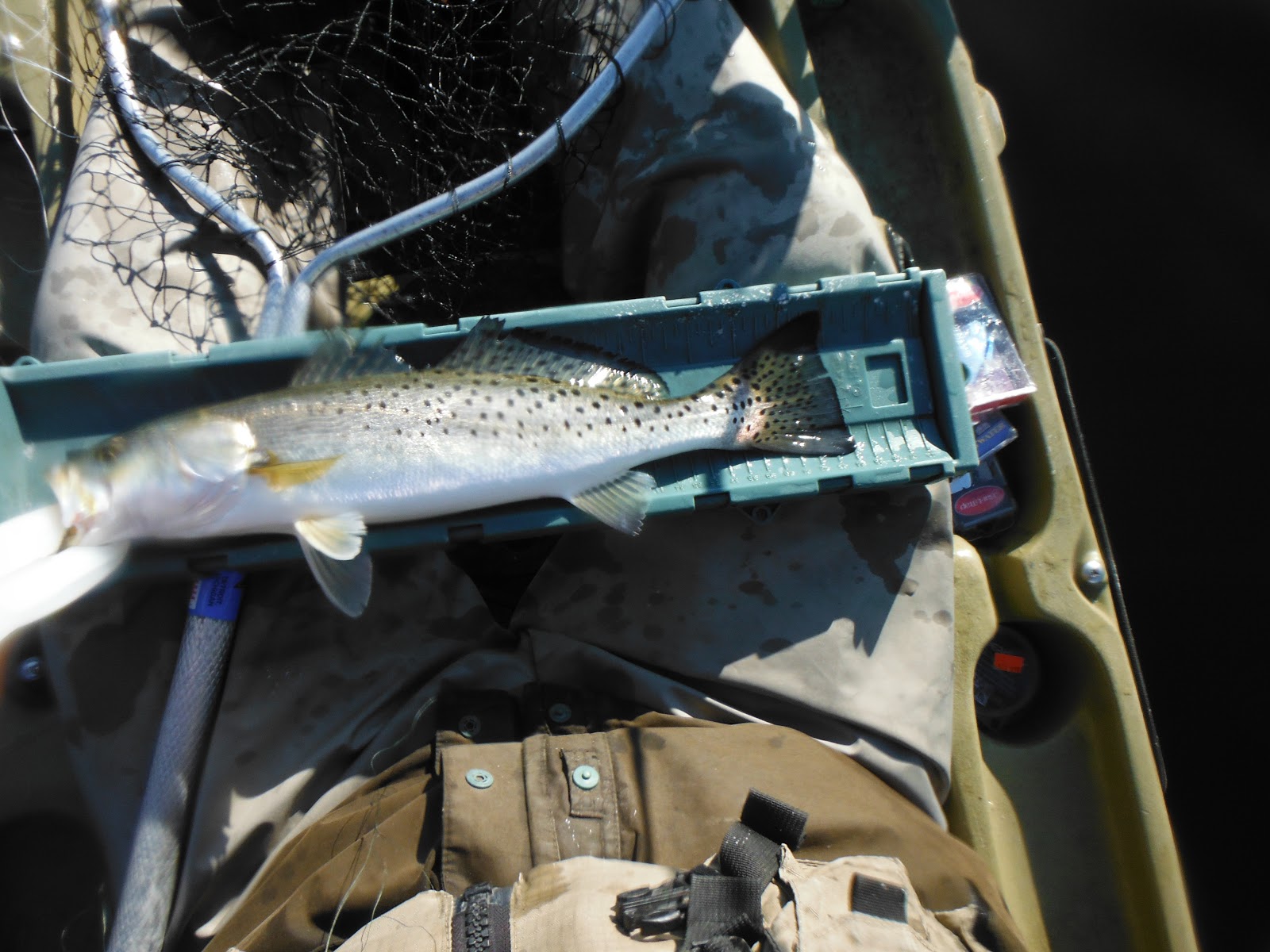 Long Island Kayak Angler Elizabeth River, Chesapeake, VA Citation