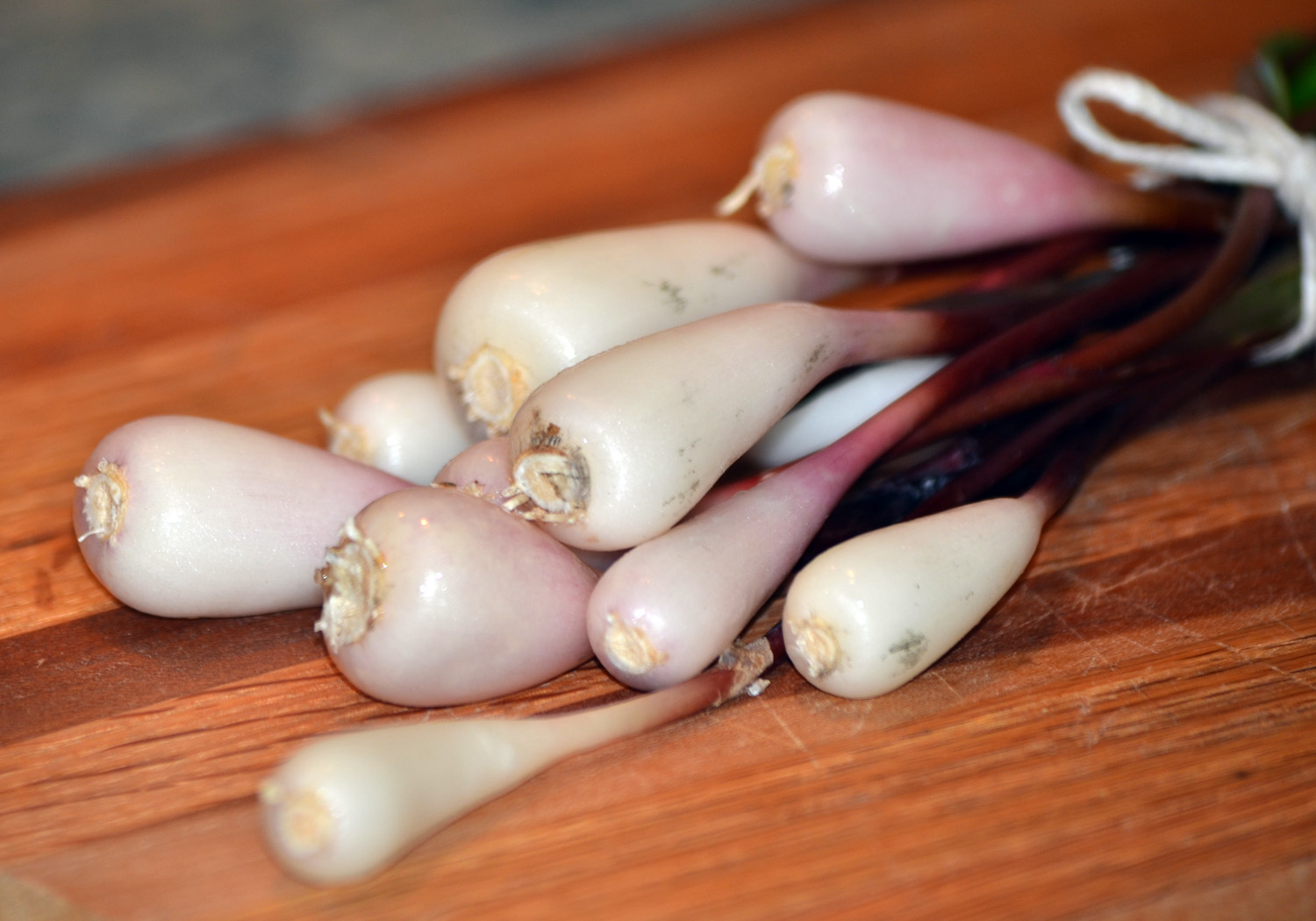 the north forty chronicles Ramps