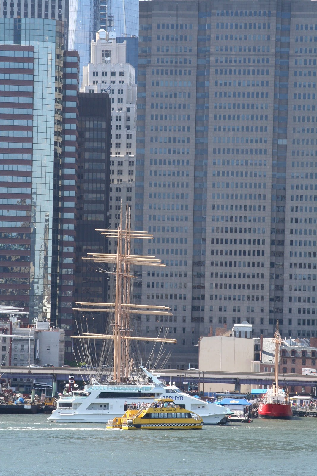 Fanfan raccoone des histoires I love Brooklyn