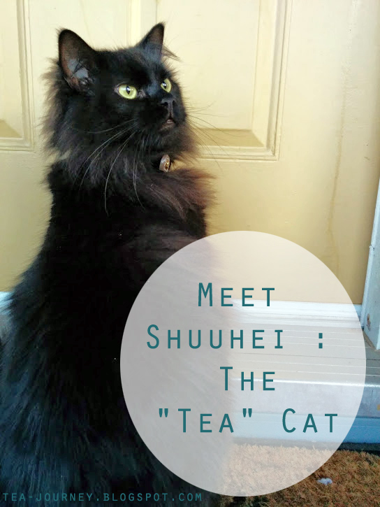 Shuuhei cat tea tea journey katherine bellman