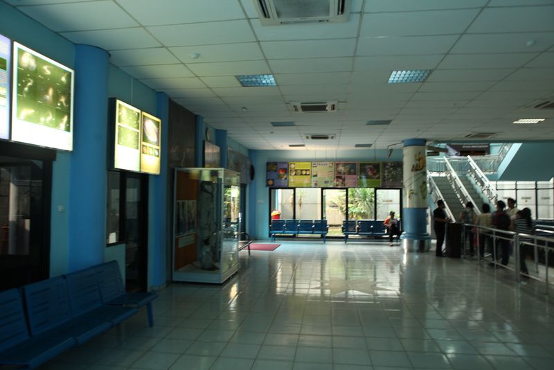 and Observatory in TIM (Jakarta