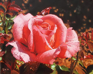 rosas-flores-pintura