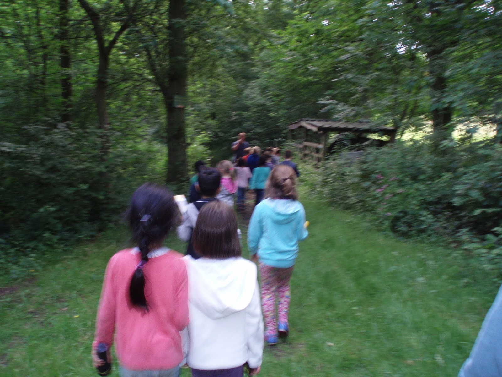 Chilcote Primary School Year 2 trip to Peckwood
