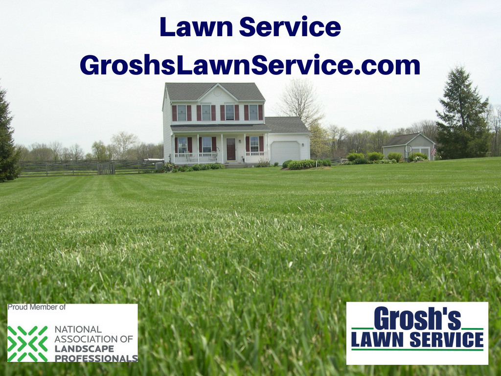 Groshs Lawn Service Lawn Care Lawn Mowing Service 5 STAR Review
