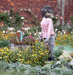 Gardening Scarecrow