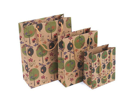 Shopping and using a krafted paper bag.