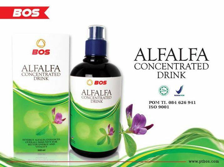 Distributor herbal bee di surabaya