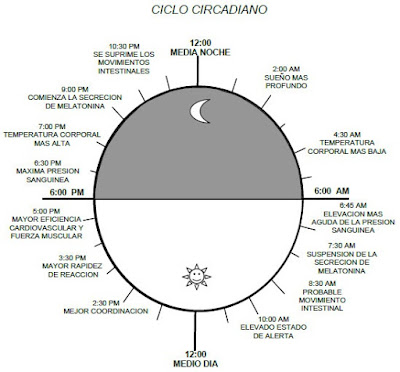 Ciclo circadiano