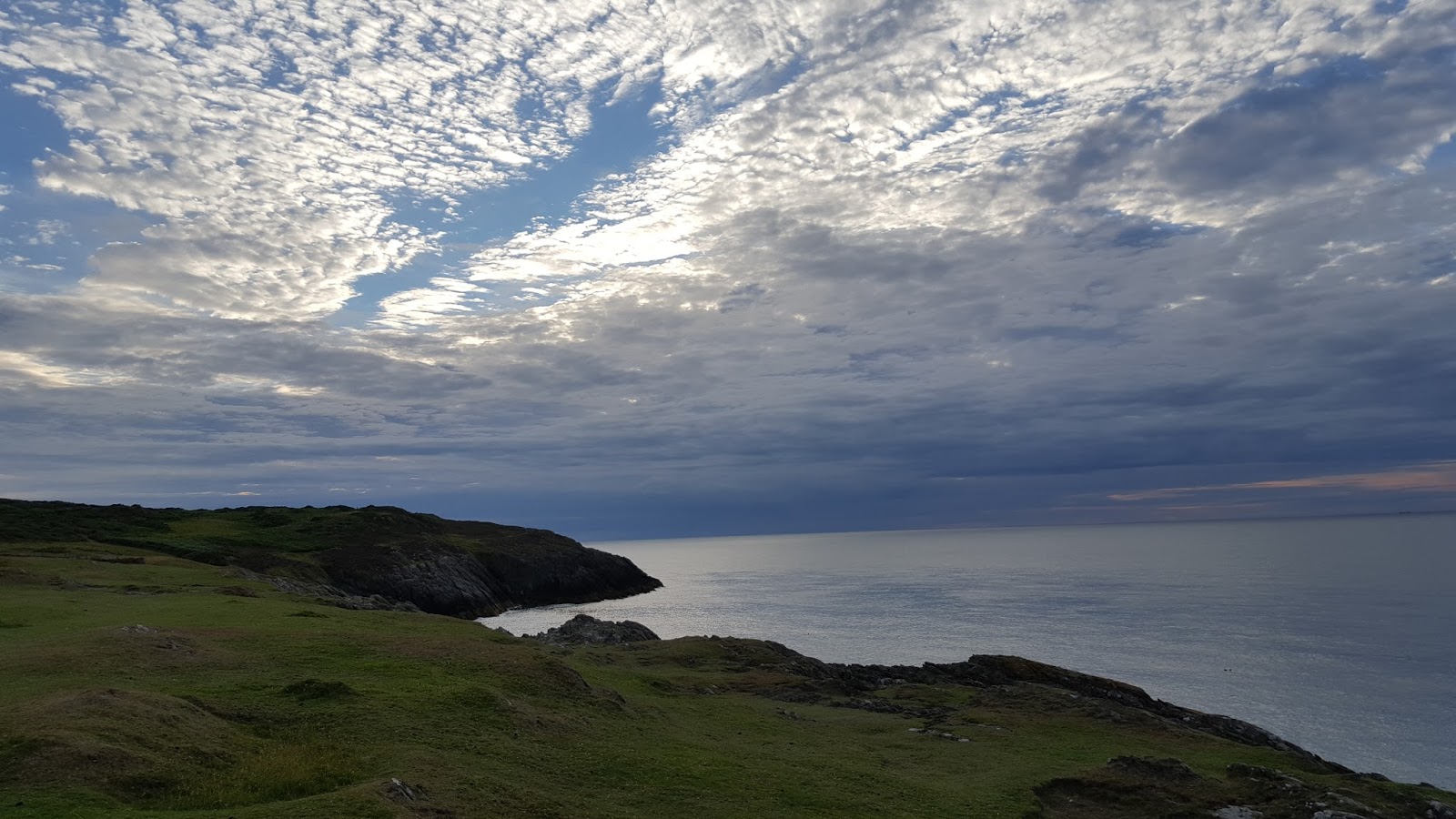 A Field Notebook Anglesey