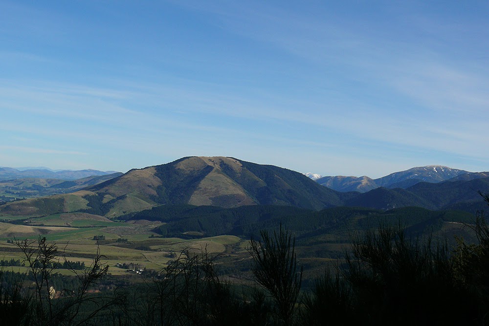 Obrazek
