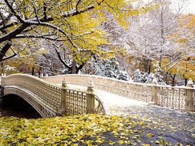 puente-nevado-en-el-central-park-new-york