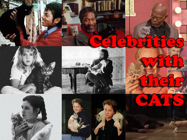 Celebrities with Cats 