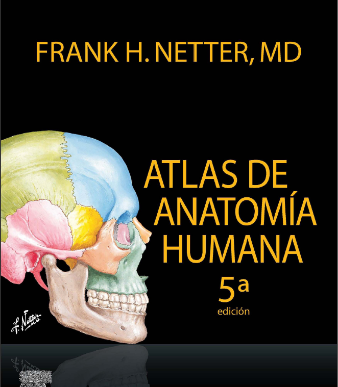 Frank H. Netter Atlas de anatomía humana 5 edición TuLibrary