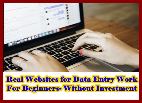 Real Websites For Data Entry Work without investment for beginners