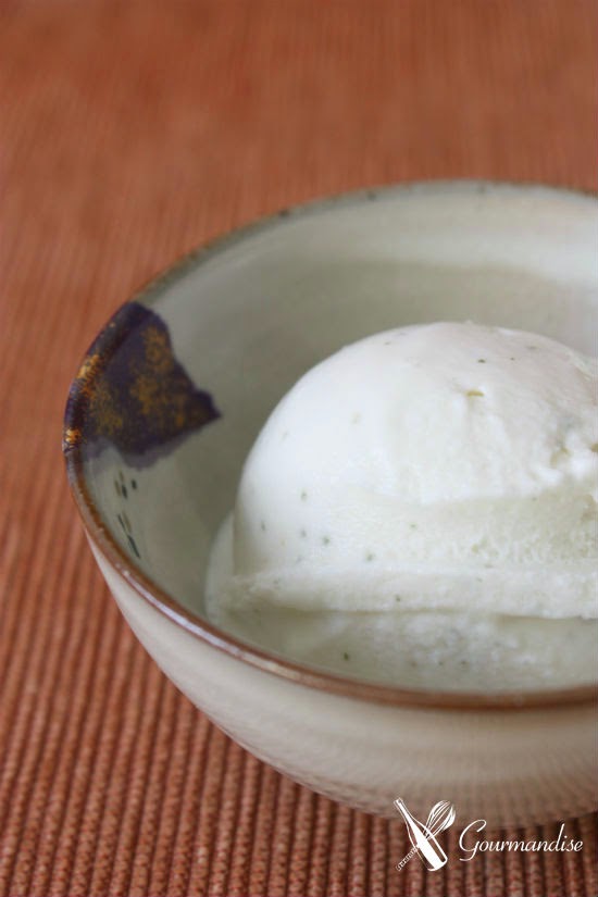 Gourmandise yogurt w/ lime rica rica ice cream