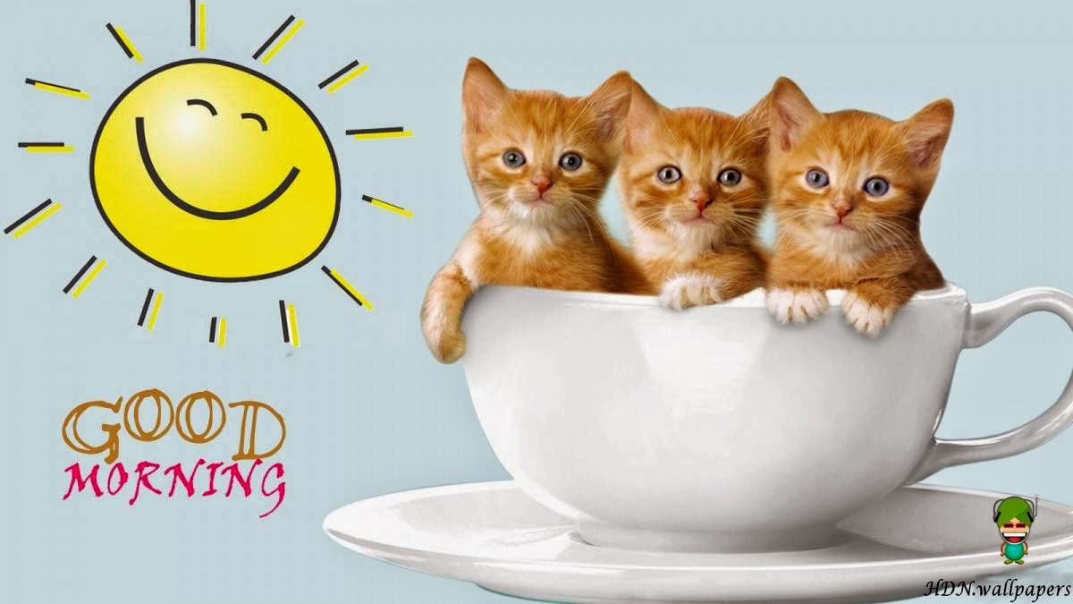 how to get a hookup Sheffield